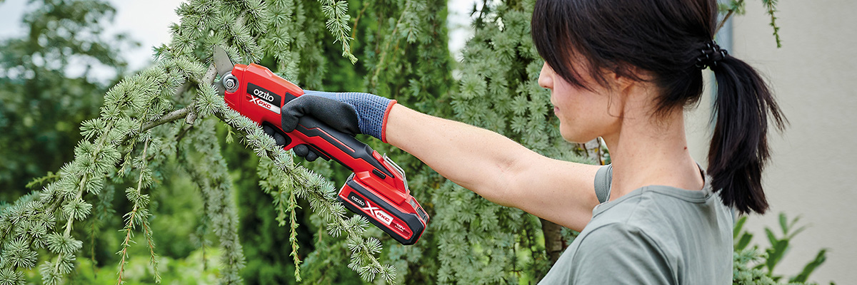 Working with a battery powered pruning saw