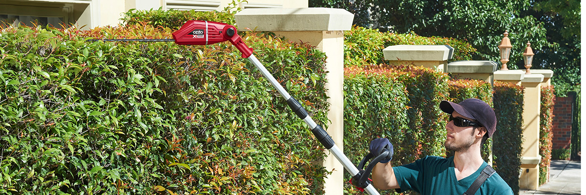 working with a battery powered telescopic hedge saw