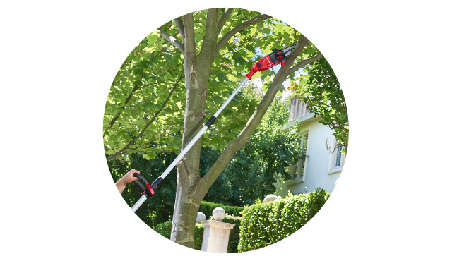 Working with a pole pruner